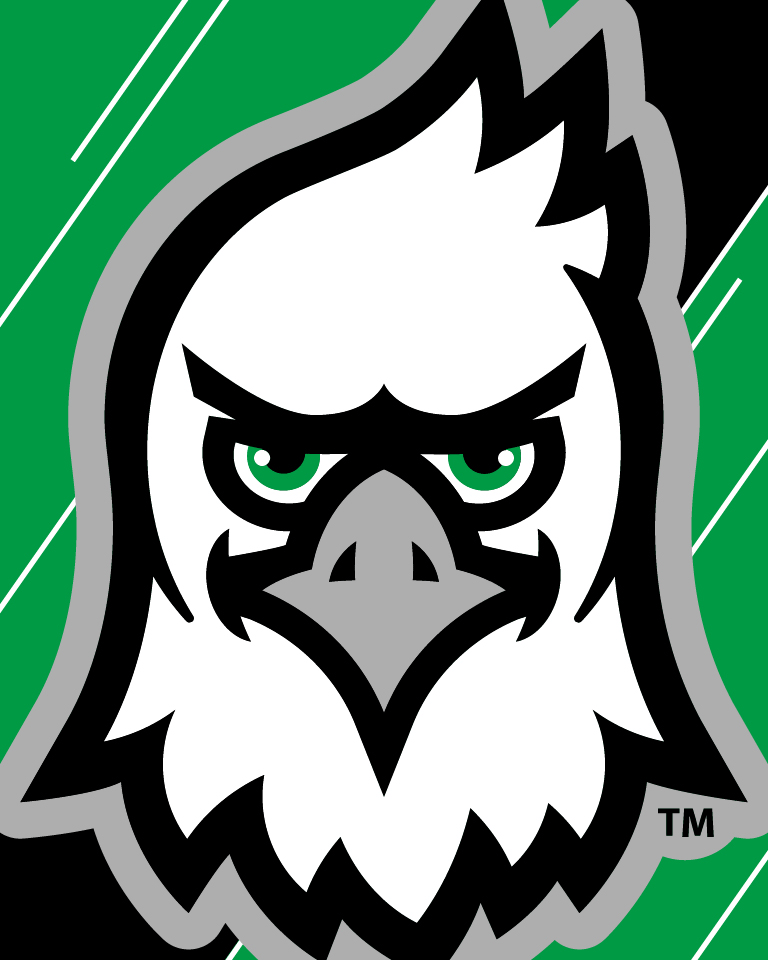 Fighting Hawks mascot graphic