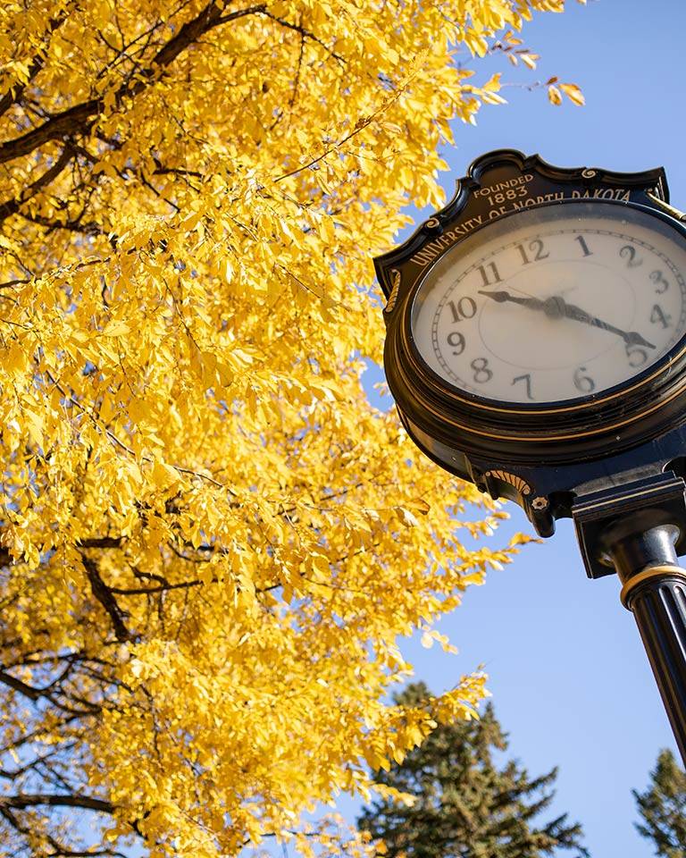 UND clock with yellow leaves from a tree above