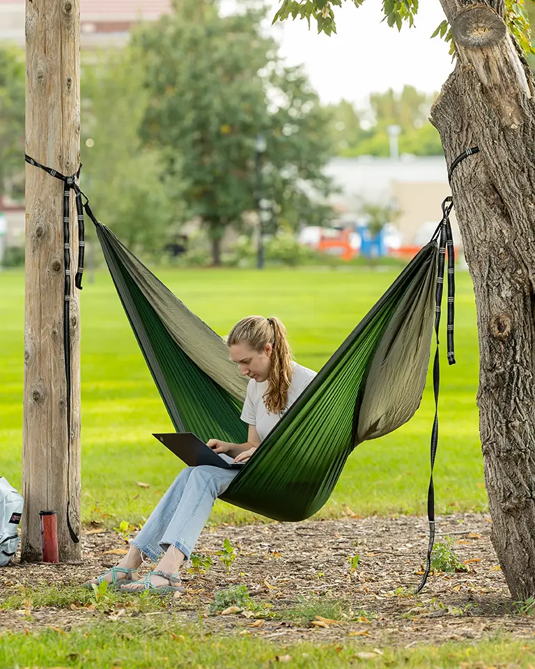 A student sits in a hammock and works on a laptop