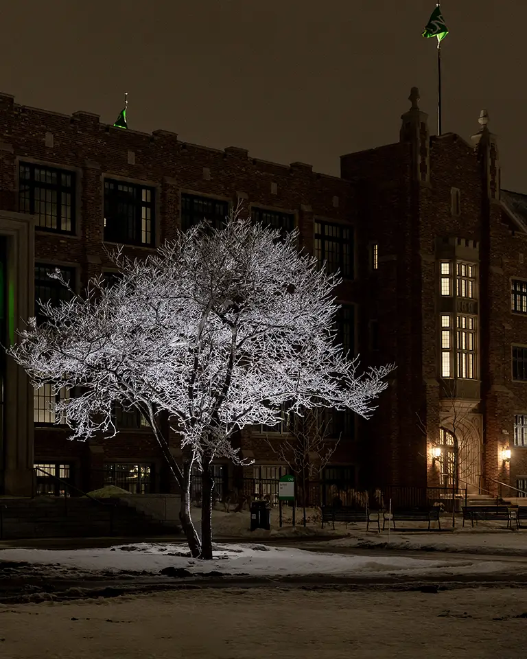 Twamley Hall stands out behind frosted trees on the quad.