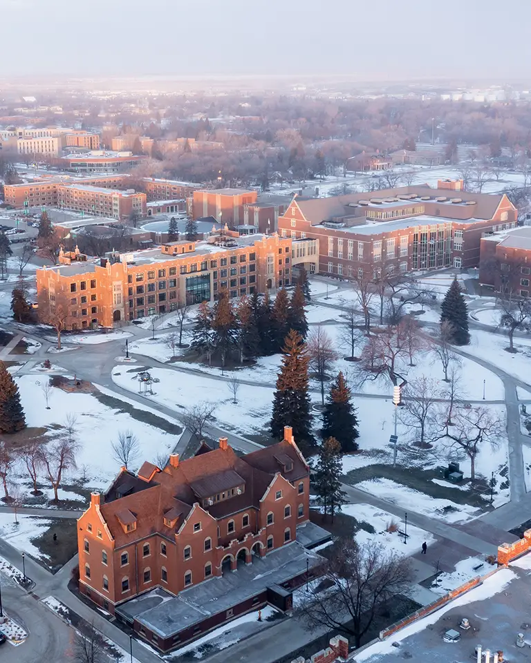 Twamley Hall stands out behind frosted trees on the quad.