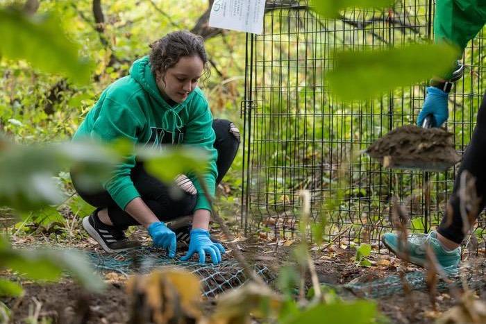 student studying buried experiment in woods