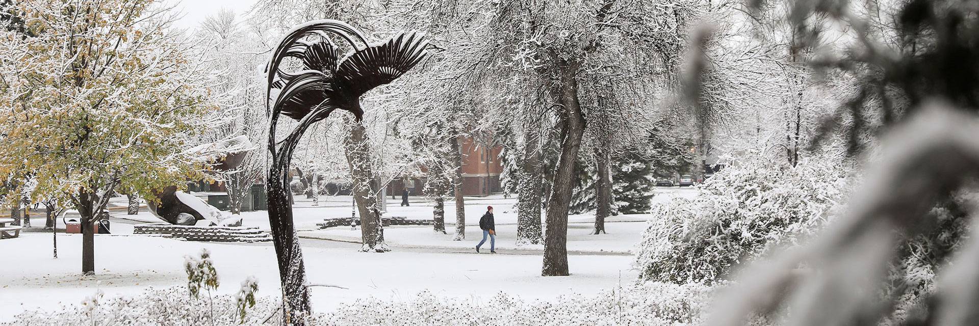 First snow of the season on campus