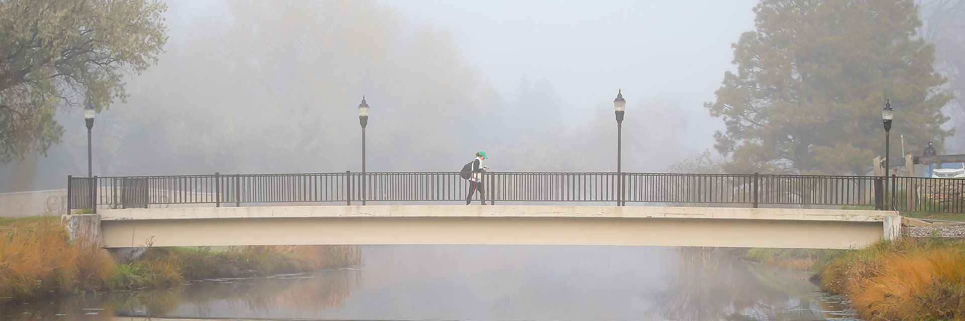 pedestrian bridge in fod