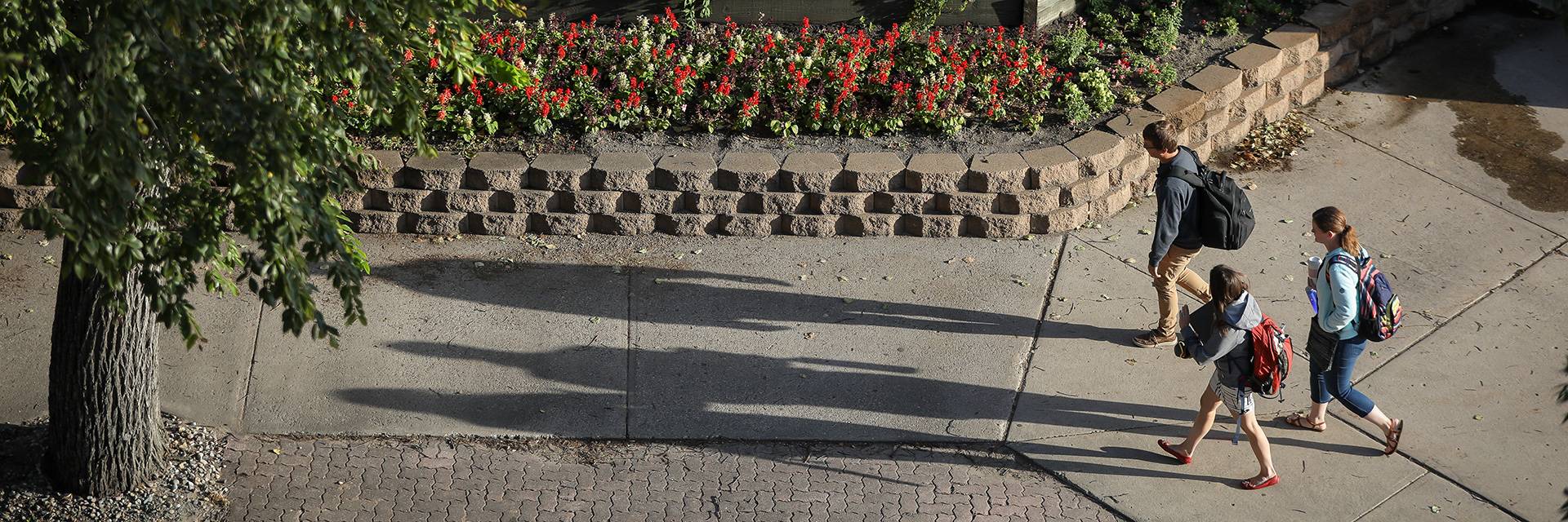 Students walking on campus