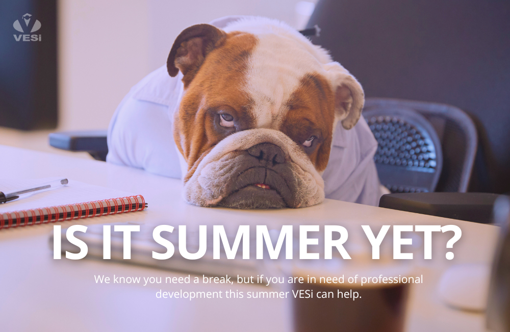 Vesi Summer Courses