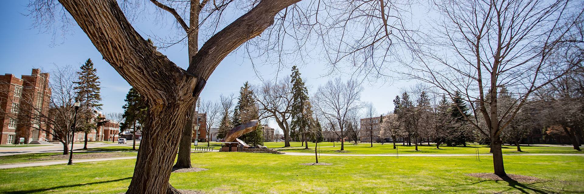 campus view