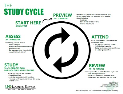 The Study Cycle