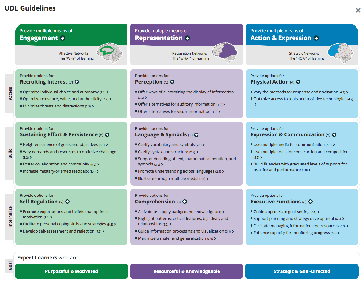 UDL Guidelines Table - Play the video for more information on the UDL Guidelines