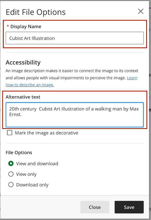 Screenshot of the Edit File Options dialogue box and where to add the alternative text and display name. 