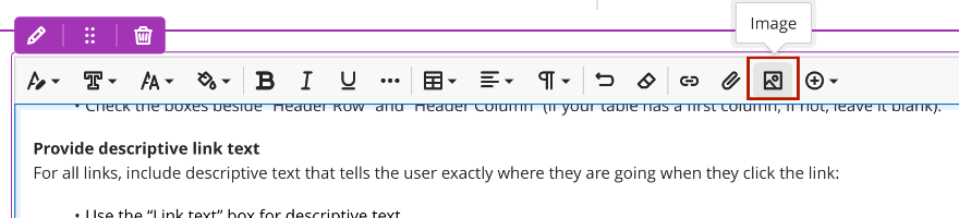 Screenshot of the Image option in the Bb Content Editor. 