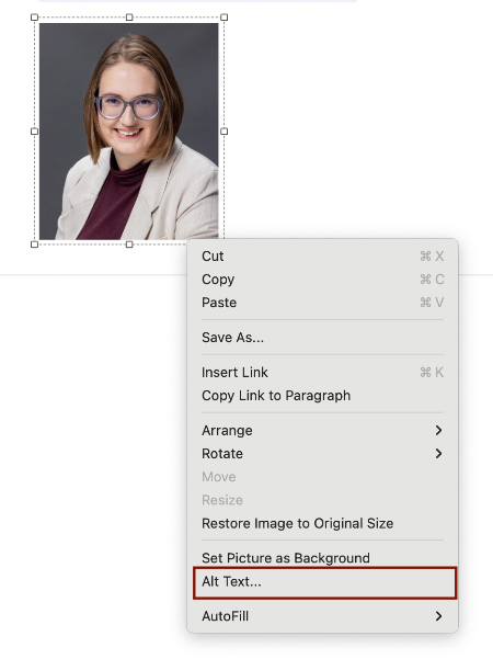 Add Alternative Text Menu displaying where to add alternative text to an image.