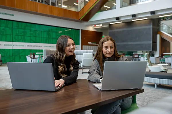 und students working on a project