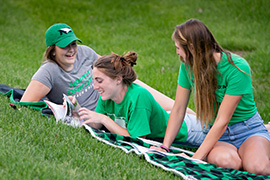 Students talking on the lawn