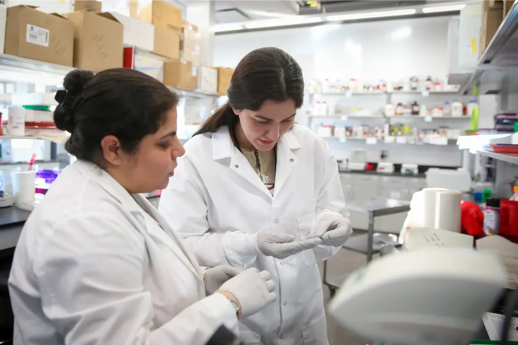 Two female biomedical engineering students are collaborating on their new project in the laboratory