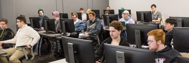 A class full of data science students in a computer lab, working on complex coding projects and data analysis