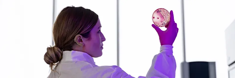 A medical laboratory science student in a lab coat and gloves holds a culture plate up to the light.
