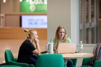 Two female students looking at their laptops