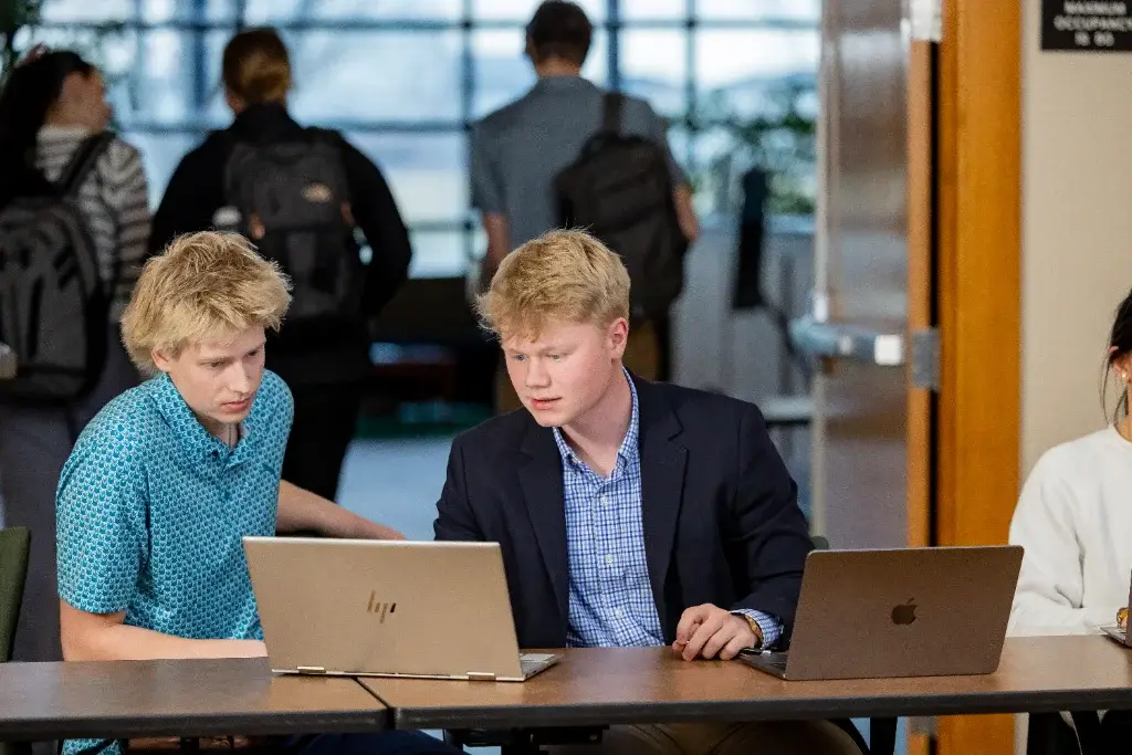 Two students, one in data science and one in AI, discuss ideas while working on their laptops.