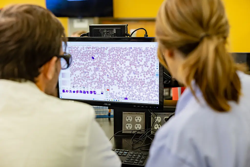 Testing a new diagnostic tool as a Medical Device or Diagnostics Specialist by analyzing microbial cultures in a controlled laboratory.