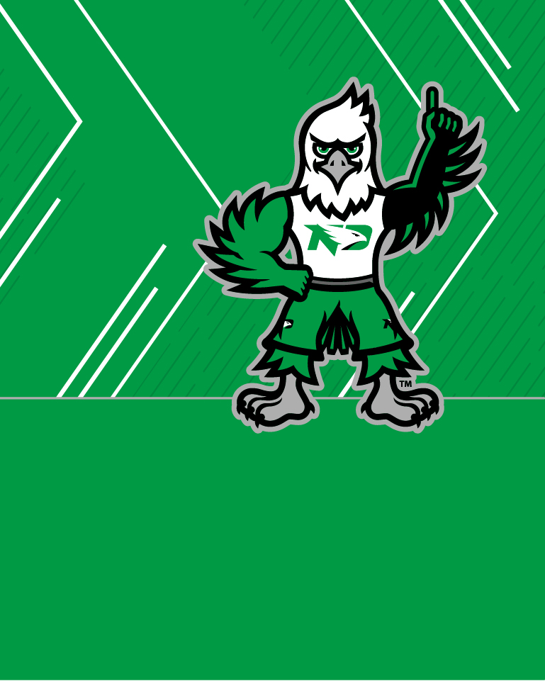 und fighting hawk mascot