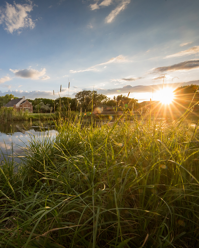 und campus in summer