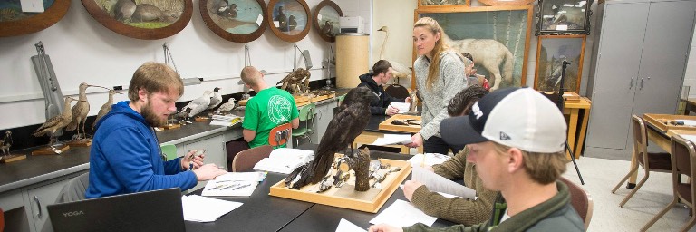 wildlife biology degree students in lab