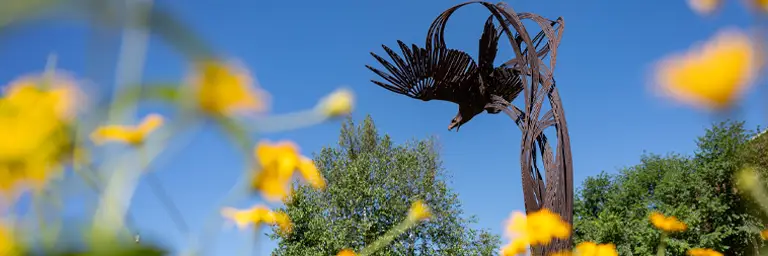 UND Campus Soaring Eagle Statue with Yellow Flowers