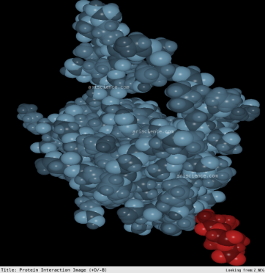 QQ Simulations of Protein Interactions