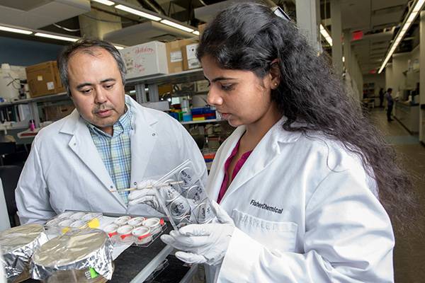 und students in lab doing research