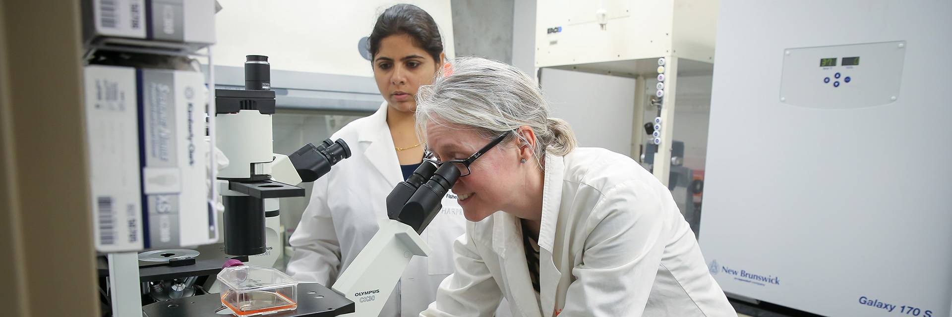 Two people looking through microscopes