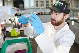 Researcher working in a lab.