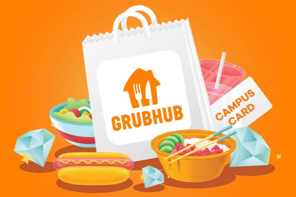 a bag with a grubhub label and food surruounding