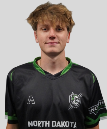 aleksi