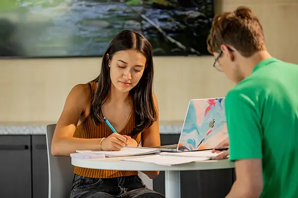 two students working in common lounge area