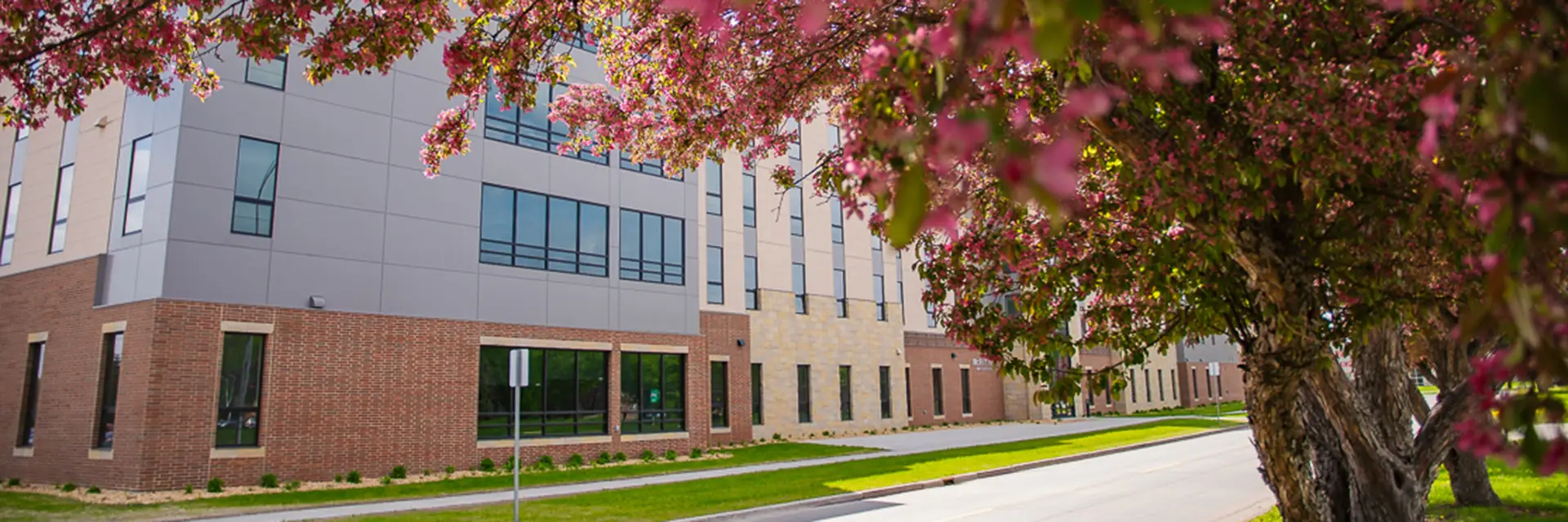 mcvey hall in springtime with cherry blossoms in foreground