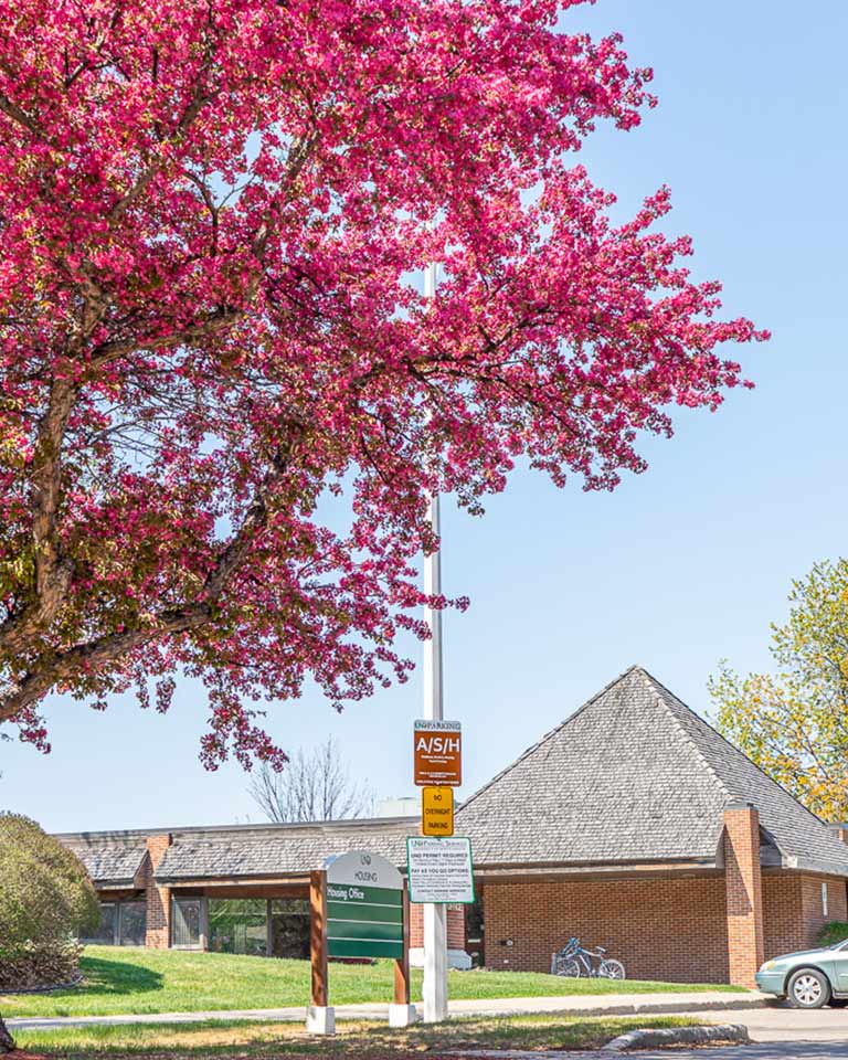 pink, blooming tree, in front of the housing office and the housing office sign