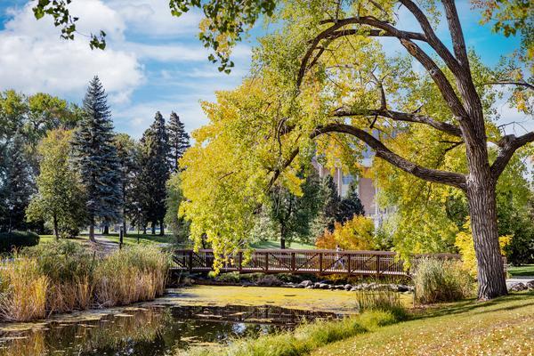 Pregnancy Accommodations