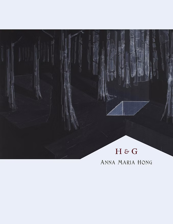 H & G, by Anna Maria Hong Cover thumbnail of H & G, by Anna Maria Hong